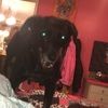 abbey_pabst05
